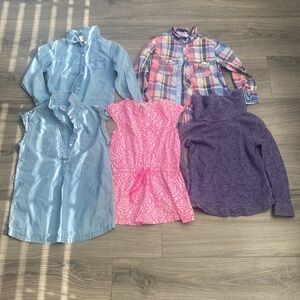 Toddler Girls Shirts Bundle (5)